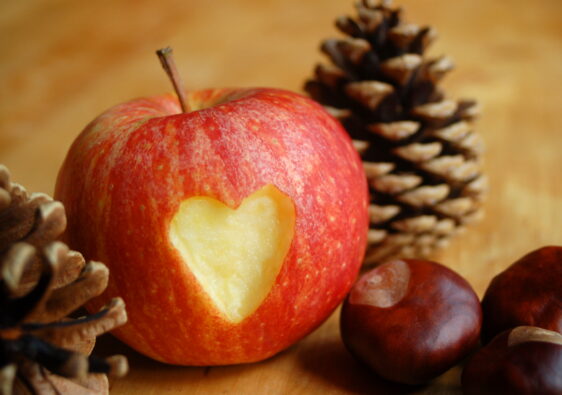 Apfel mit Herz, Tannenzapfen und Kastanien passend zu Weihnachten