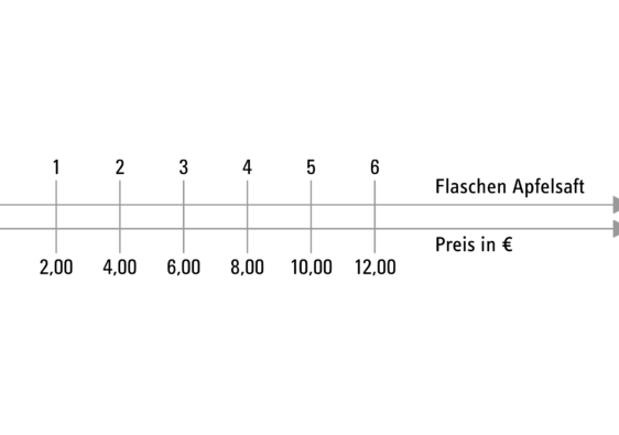 Die proportionale Zuordnung am doppelten Zahlenstrahl